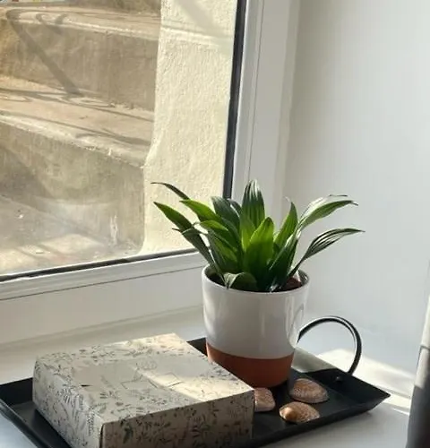 2 Maison Dior, Centre, A 500 M 아파트 그랑빌